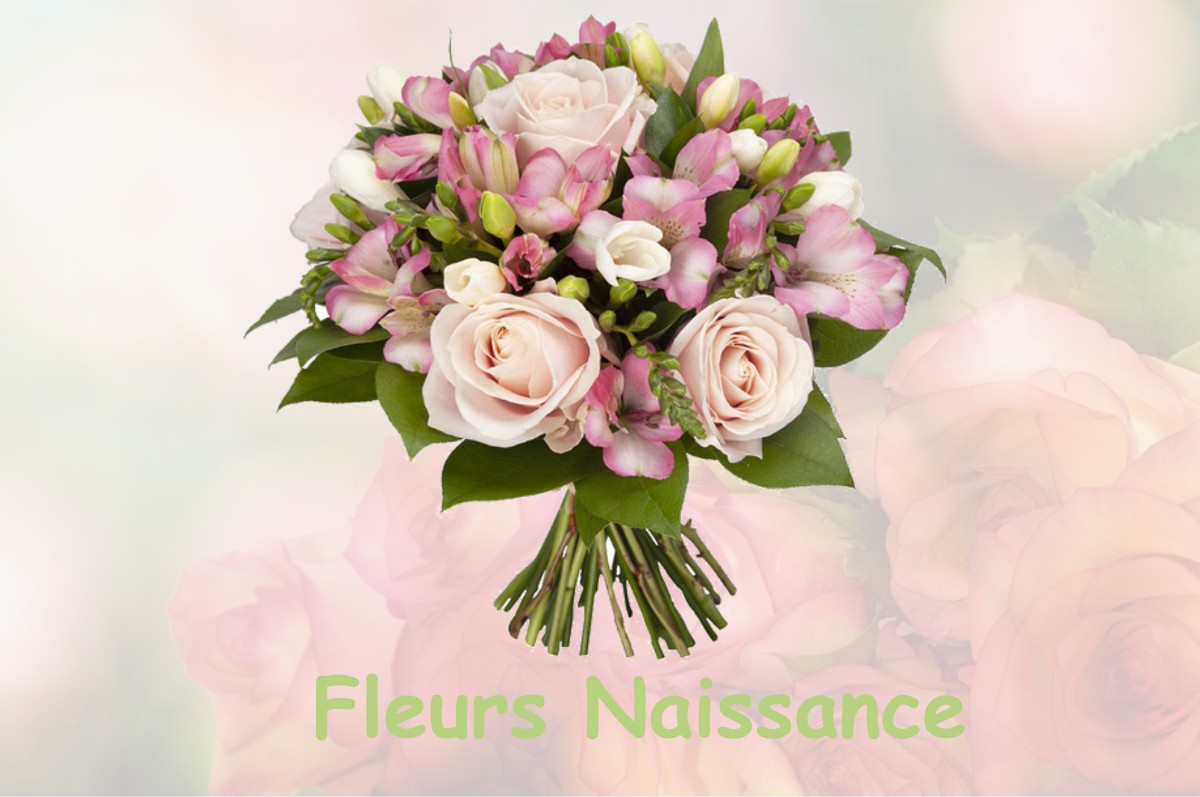 fleurs naissance LE-PETIT-MERCEY